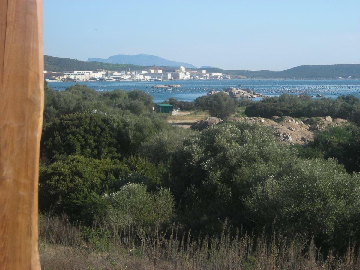 Olbia Tempio Apartment Ngoại thất bức ảnh