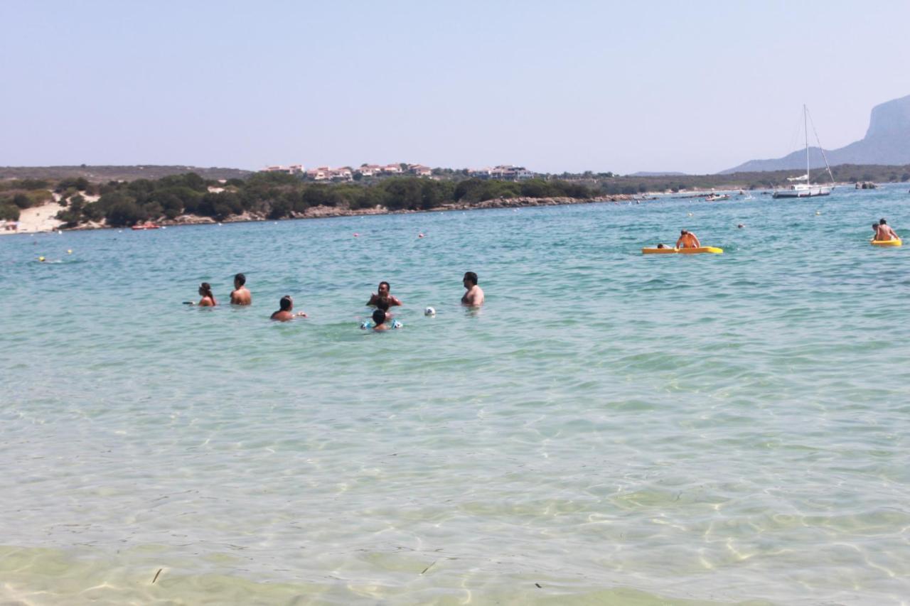 Olbia Tempio Apartment Ngoại thất bức ảnh